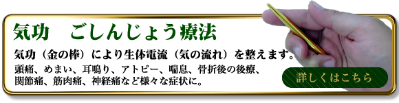 ごしんじょう療法